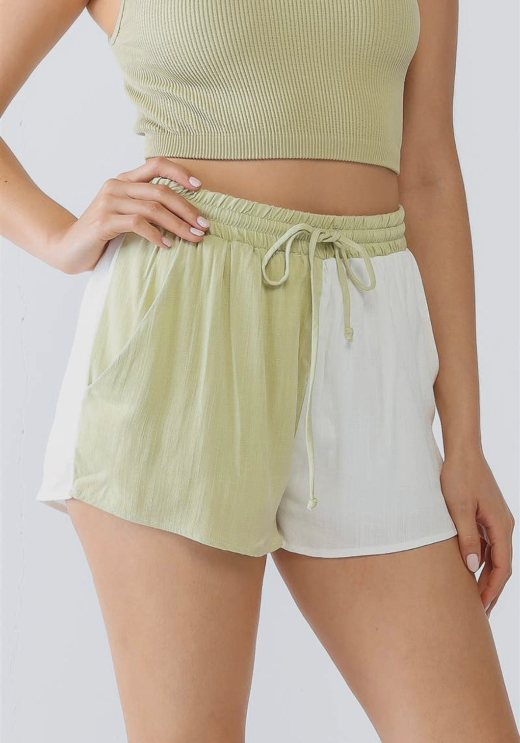 Zara Two-Toned Shorts